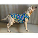 Ethnic Outfit for Small, Medium & Large Dogs