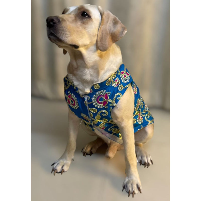 Ethnic Outfit for Small, Medium & Large Dogs