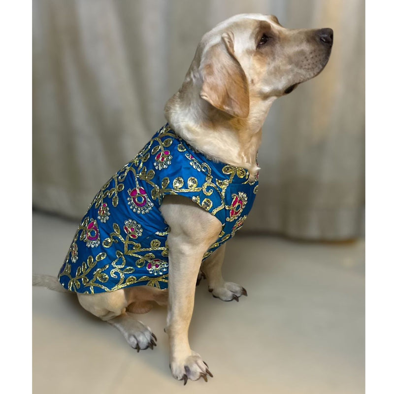 Ethnic Outfit for Small, Medium & Large Dogs