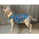 Ethnic Outfit for Small, Medium & Large Dogs