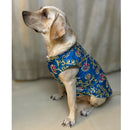 Ethnic Outfit for Small, Medium & Large Dogs