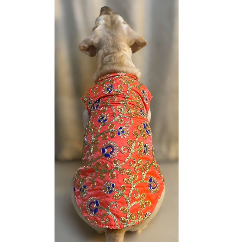 Traditional Dog Dress for Weddings & Festivals