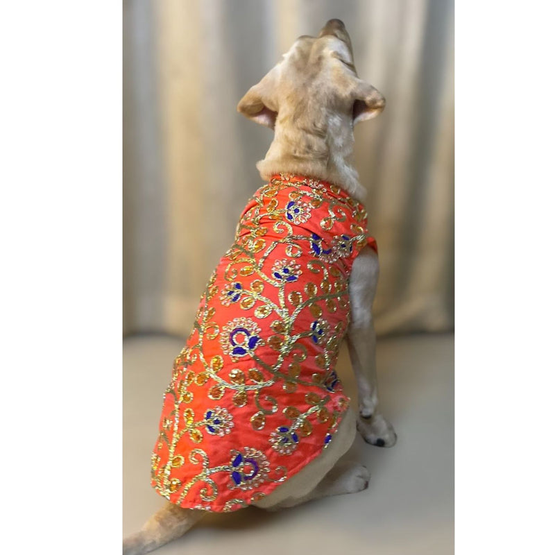 Traditional Dog Dress for Weddings & Festivals