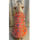 Traditional Dog Dress for Weddings & Festivals