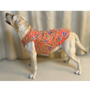 Traditional Dog Dress for Weddings & Festivals
