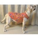 Traditional Dog Dress for Weddings & Festivals
