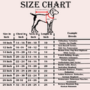 Traditional Indian Festive Outfit for Dogs