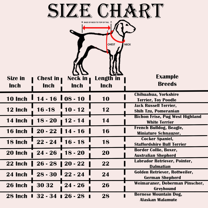 Designer Kurta for all Dog Breeds