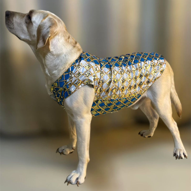 Designer Kurta for all Dog Breeds