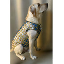 Designer Kurta for all Dog Breeds