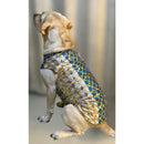 Designer Kurta for all Dog Breeds