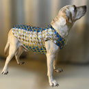 Designer Kurta for all Dog Breeds