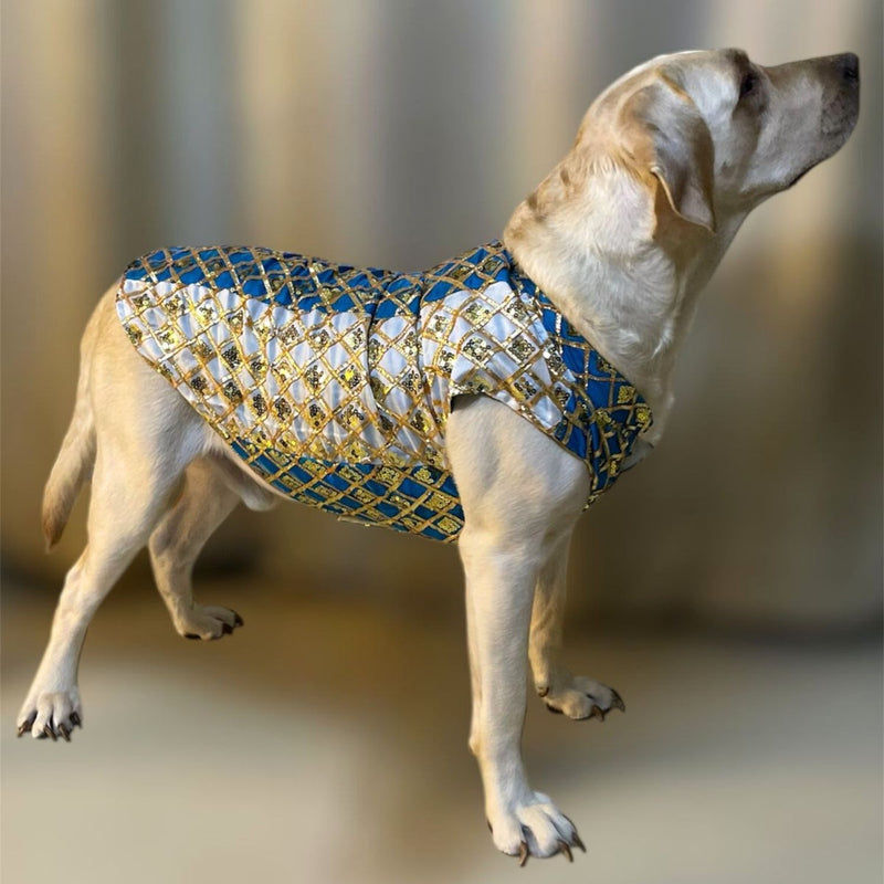 Designer Kurta for all Dog Breeds