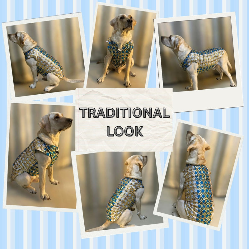 Designer Kurta for all Dog Breeds