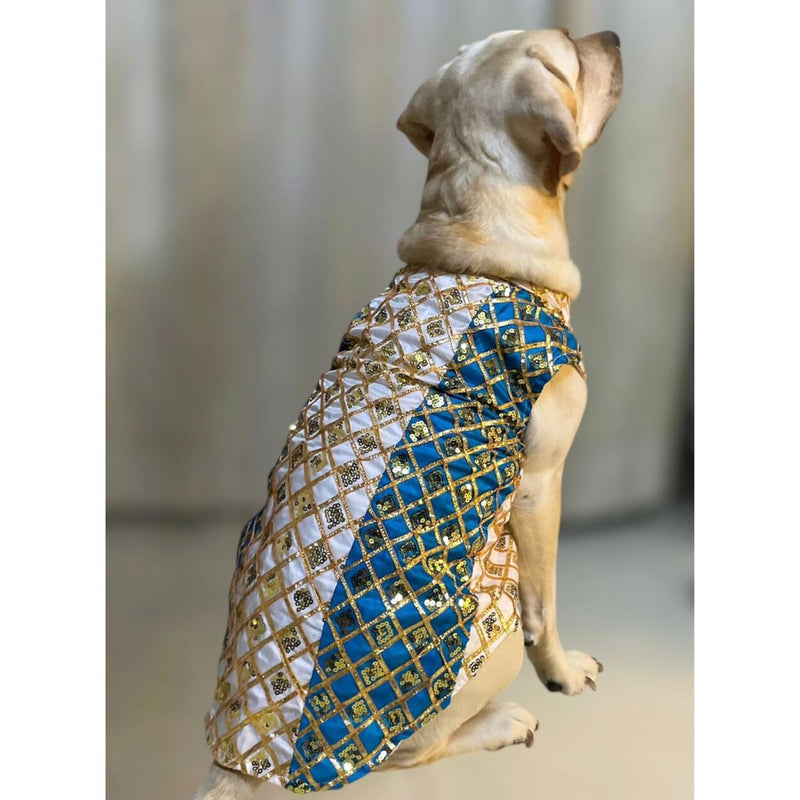 Traditional Indian Festive Outfit for Dogs