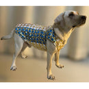 Traditional Indian Festive Outfit for Dogs