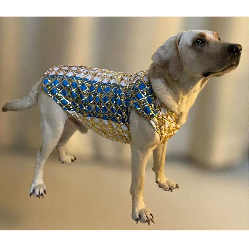 Traditional Indian Festive Outfit for Dogs