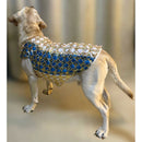 Traditional Indian Festive Outfit for Dogs