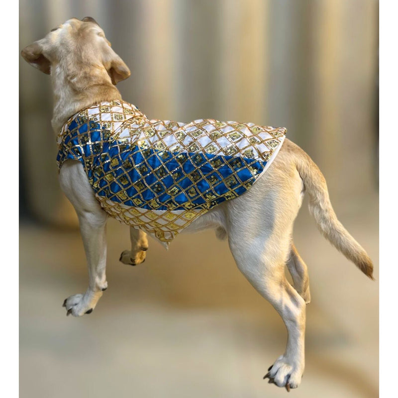 Traditional Indian Festive Outfit for Dogs