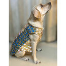 Traditional Indian Festive Outfit for Dogs
