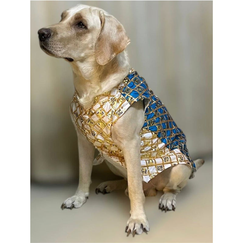 Traditional Indian Festive Outfit for Dogs