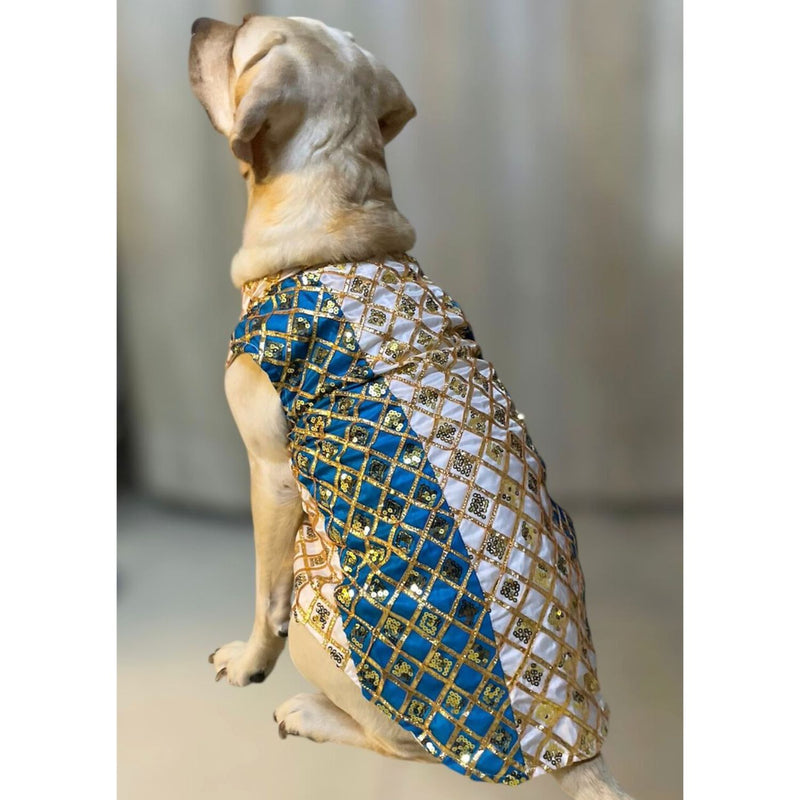 Traditional Indian Festive Outfit for Dogs