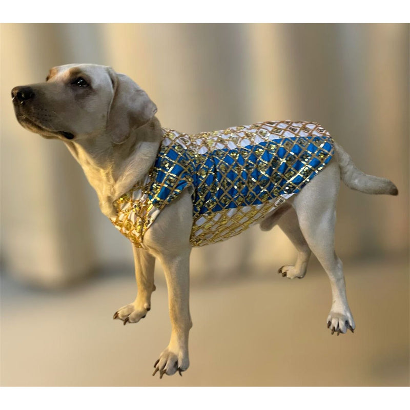Traditional Indian Festive Outfit for Dogs