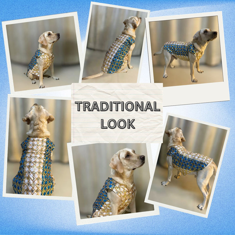Traditional Indian Festive Outfit for Dogs