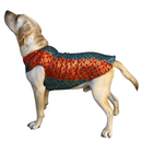 Ethnic Brocade Festive Dog Kurta