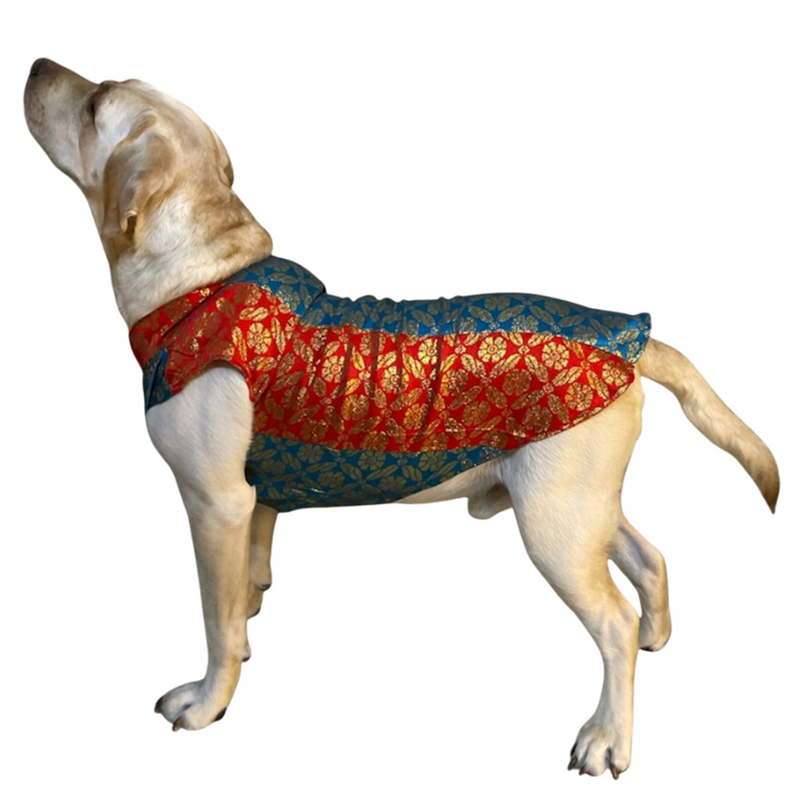 Ethnic Brocade Festive Dog Kurta