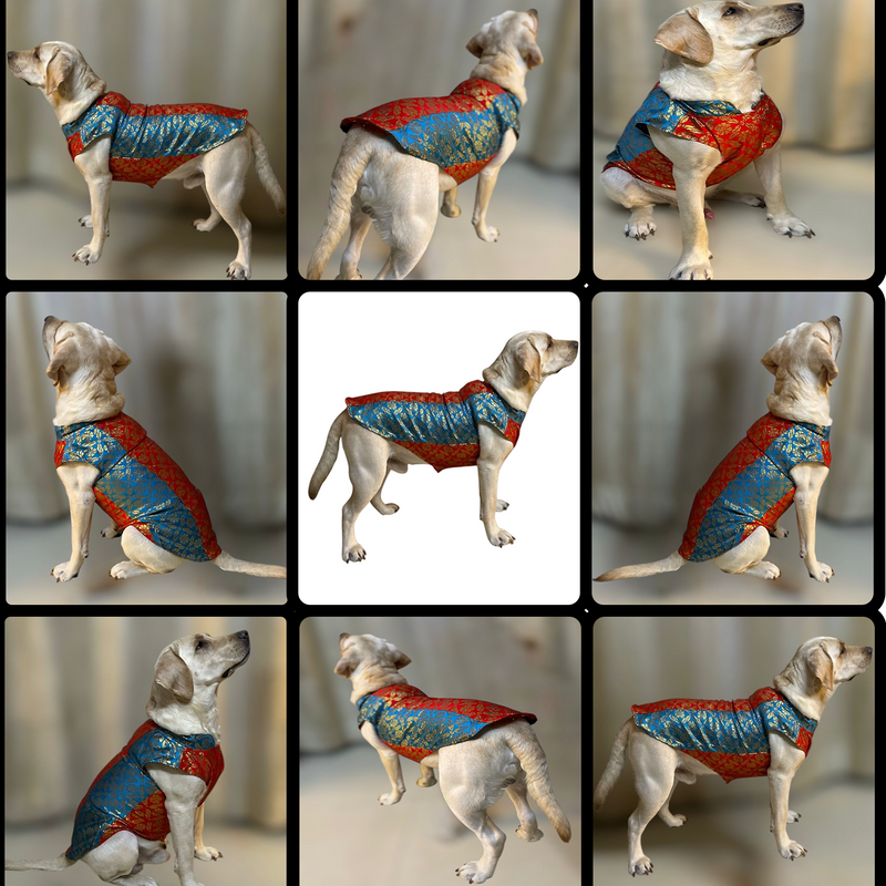 Ethnic Brocade Festive Dog Kurta