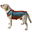 Ethnic Brocade Festive Dog Kurta