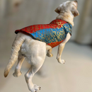 Ethnic Brocade Festive Dog Kurta