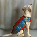 Ethnic Brocade Festive Dog Kurta