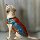 Ethnic Brocade Festive Dog Kurta
