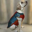 Ethnic Brocade Festive Dog Kurta