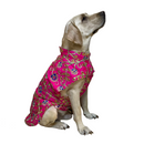 Traditional Dog Dress Ethnic Wear