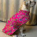 Traditional Dog Dress Ethnic Wear