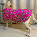 Traditional Dog Dress Ethnic Wear