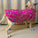 Traditional Dog Dress Ethnic Wear