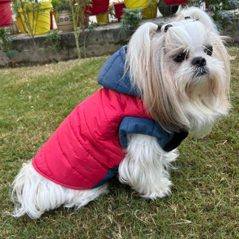 Winter Jacket for Small & Medium Dogs