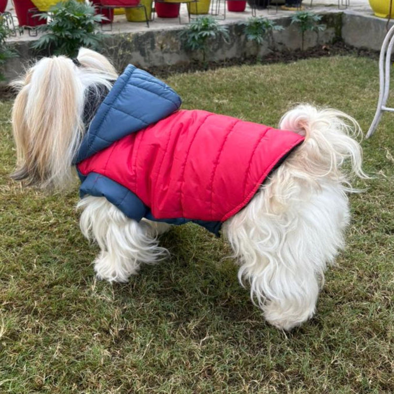 Winter Jacket for Small & Medium Dogs