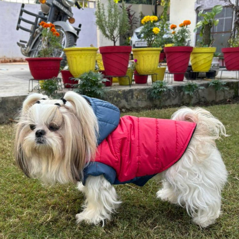 Winter Jacket for Small & Medium Dogs