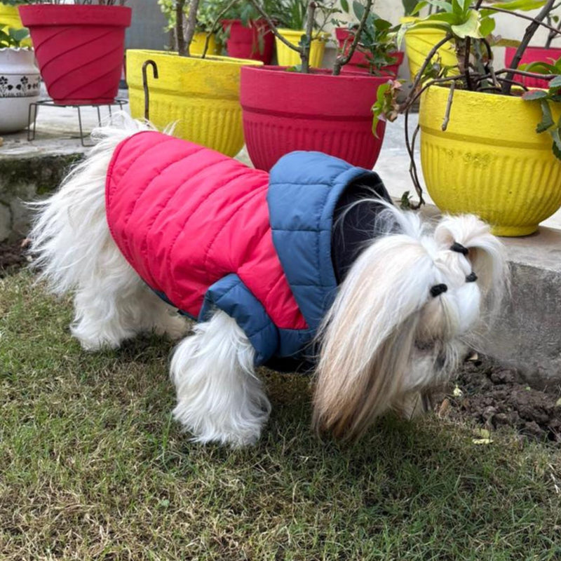 Winter Jacket for Small & Medium Dogs