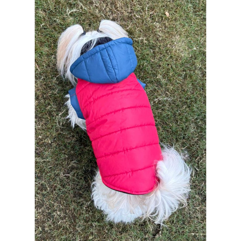 Winter Jacket for Small & Medium Dogs