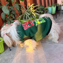 Winter Dog Clothes, Sweatshirt Soft Warm