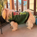 Winter Dog Clothes, Sweatshirt Soft Warm