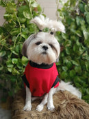 Printed Cotton Winter Dog Sweatshirt