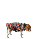 Winter Dog Hoodie Jacket