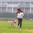 Attractive Rope Toy For Dogs